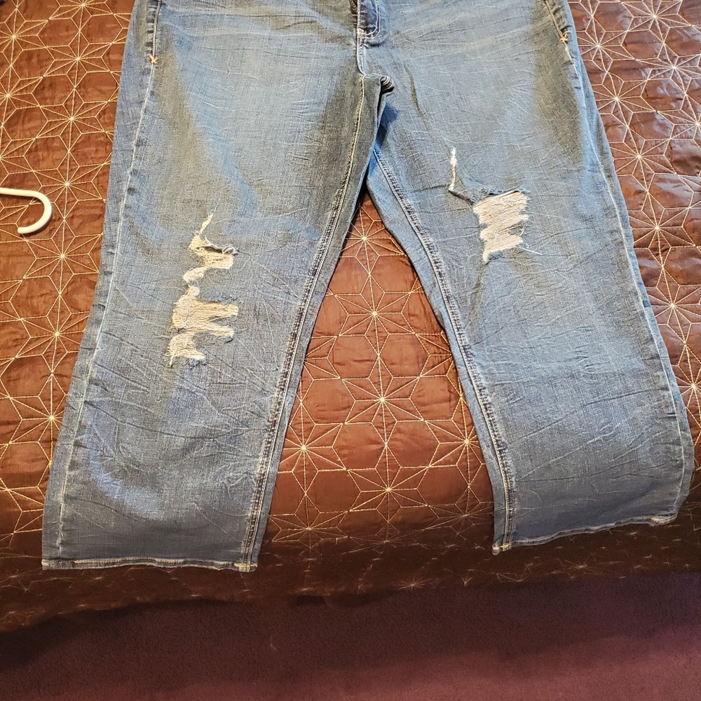 Lane Bryant  Crops